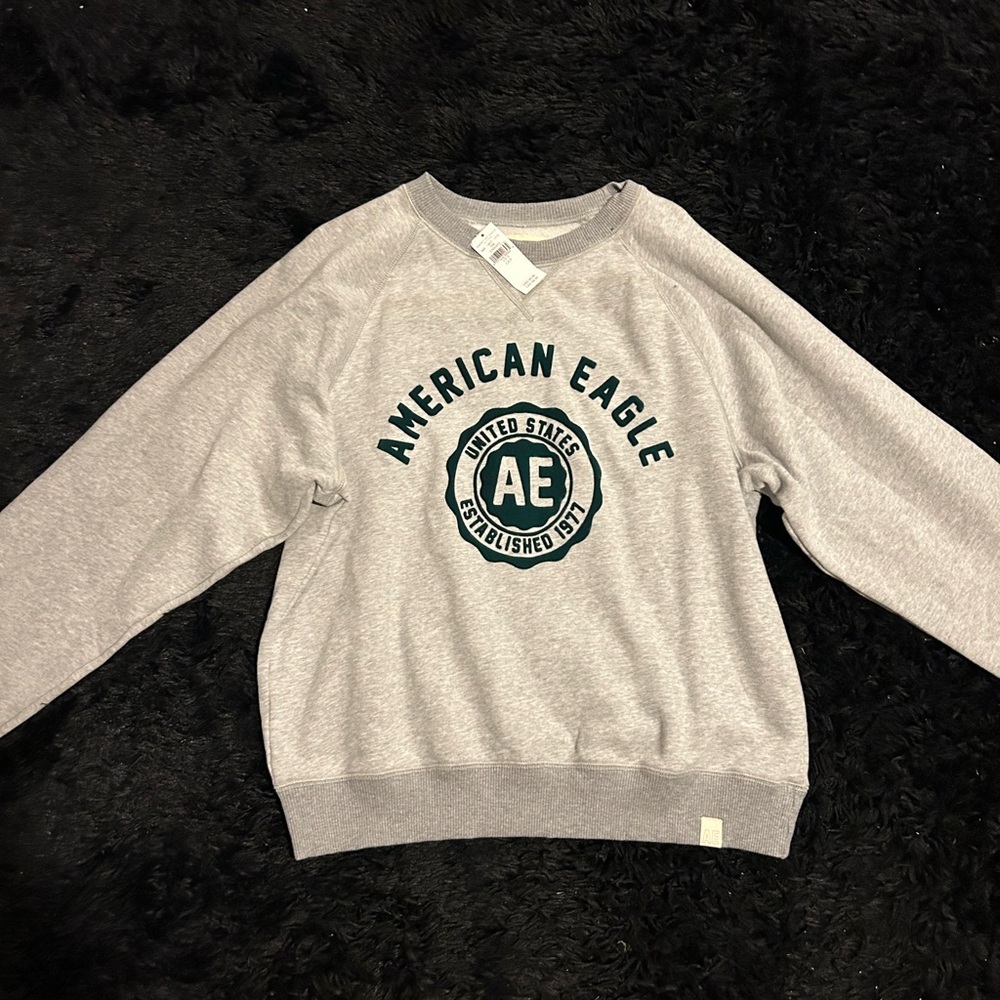 American Eagle Outfitters Gray Crewneck Sweater